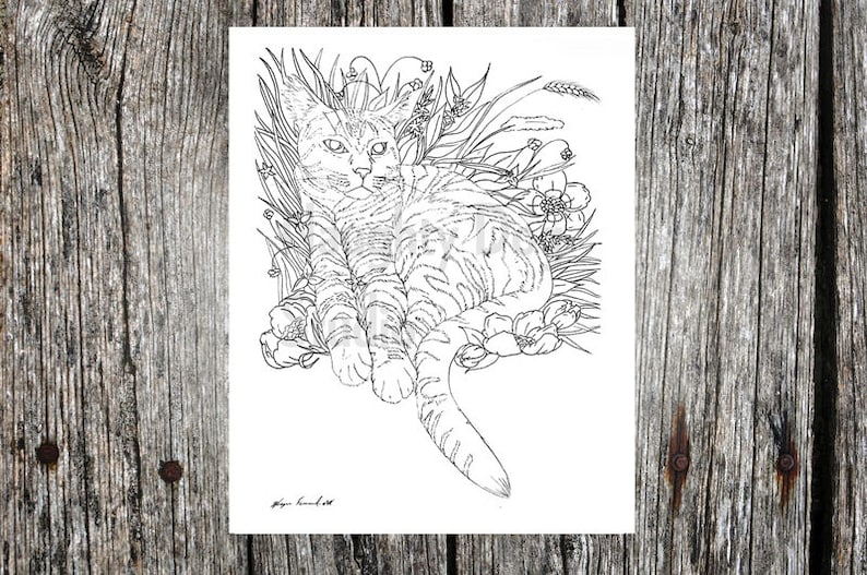 Kid Adult coloring page Cat Printable coloring page Witch/'s Familiar pet coloring page