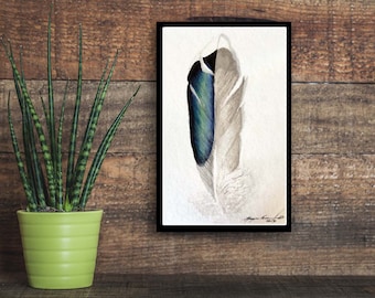 Mallard Duck Feather - Limited Print # of 50 / Wildlife Fine Art