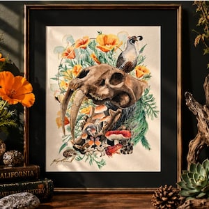 Konsttryck med sabeltandad katt i Kalifornien — Smilodon-skalle i akvarell, 8x10 eller 11x14, 50-staters serie