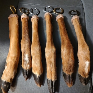 May include: Six bottle openers featuring brown animal legs with dark hooves at the base. Each leg is attached to a circular metal ring at the top with a wrapped cord detail. The legs are arranged vertically, showcasing natural fur texture.