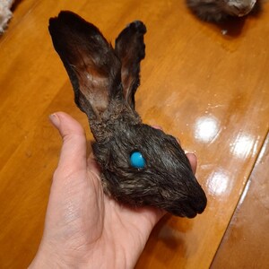 Glass Eye Mummy Rabbit Heads - Etsy