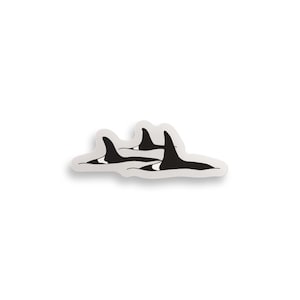Orca Pod Clear Sticker // orcas / whale sticker / killer whale sticker / killer whale / I love whales / whale pod