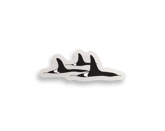 Orca Pod Clear Sticker // orcas / whale sticker / killer whale sticker / killer whale / I love whales / whale pod