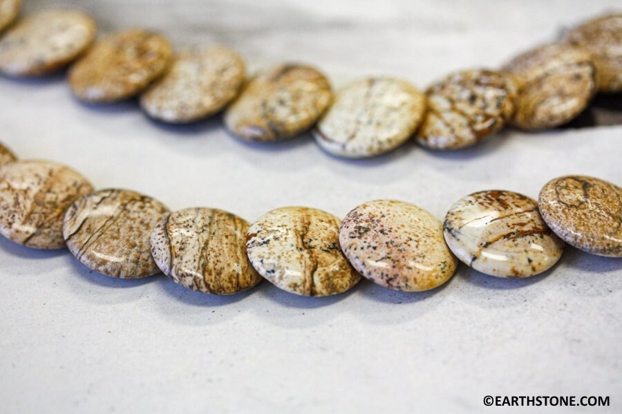 XL/ Picture Jasper 20mm/ 30mm Lentil beads 16" Strand  Natural jasper gemstone beads For jewelry making