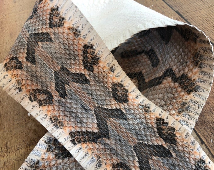 Canebrake Rattlesnake Hide, Timber Rattler, Tanned, Diamonds, Timber