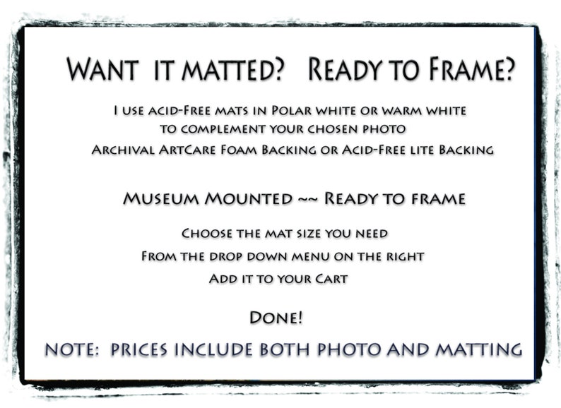 Your Photo Matted, Add A Mat, Ready to Frame, You Choose Size, White