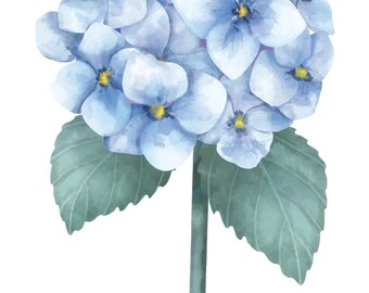 Hydrangea print, Floral art, botanical art, spring flowers, Floral decor, wall art, home decor, vintage decor, seasonal styling, flowers,