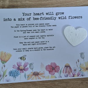 Coeur en papier de graines à planter, cadeau de mariage, cadeau de remerciement, cadeau de baby shower, cadeau d'enseignant, cadeau respectueux de l'environnement, papier de graines en forme de coeur,