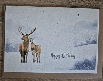 Stag Plantable Birthday card, Wildflower Seed card, wild flower seed card, eco friendly, seed paper card, bee friendly, deer card,