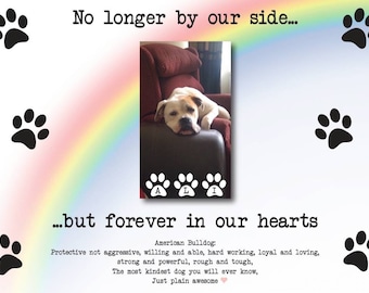 Op de afbeelding: Een zwart-witfoto van een hond die op een bank ligt. De hond is een witte American Bulldog met zwarte vlekken. De naam van de hond is "Ali" en het bijschrift luidt "Niet langer aan onze zijde... maar voor altijd in onze harten".