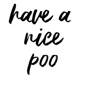 Have a nice poo print, digital print, digital download, home decor, toilet humour, kitchen gift, family gift, House gift, family gift, funny