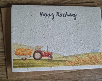 Personalised Plantable Birthday card, Wildflower Seed card, wild flower seed card, eco friendly, seed paper card, bee friendly