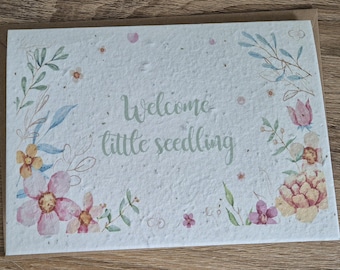 Plantable new baby card, plantable seed card, wild flower seed card, eco friendly, seed paper card, bee friendly, seeded card, newborn card,