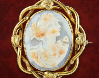 Antique Victorian Cameo Brooch 9ct Gold Frame With Locket and Box