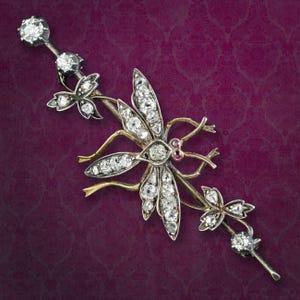 May include: A dragonfly brooch crafted from silver and gold metal, featuring wings and a body encrusted with numerous clear, sparkling diamonds. The insect's head is accented with two small, vibrant red rubies for eyes, and the pin extends into floral stems.