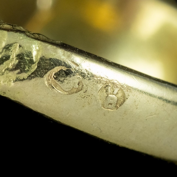 Leopard Ring Ruby Diamond 18ct Gold - image 6