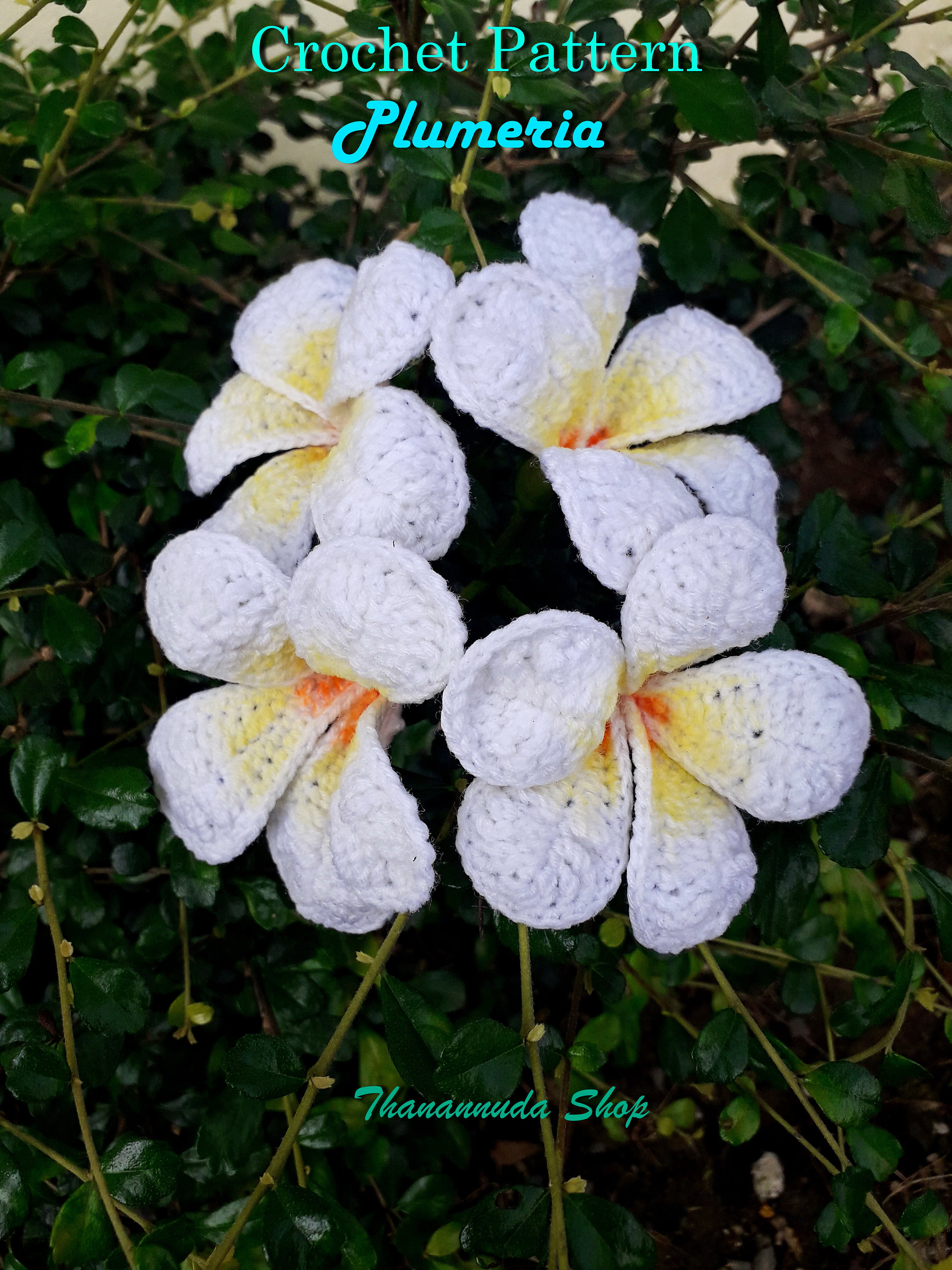 Crochet Flower Pattern Crochet Plumeria Etsy