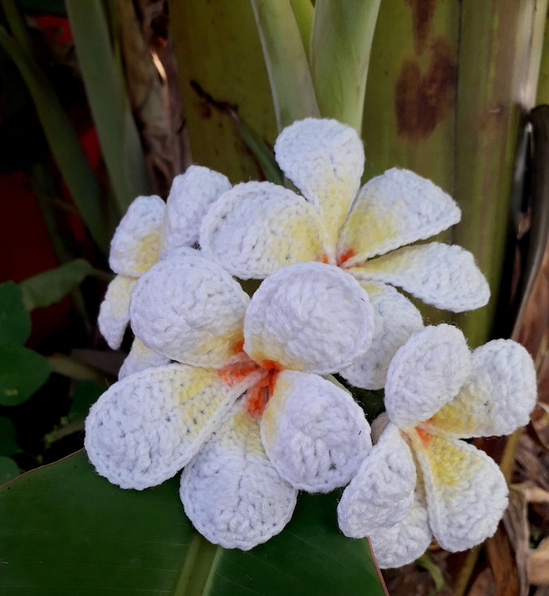 Crochet Flower Pattern Crochet Plumeria Etsy