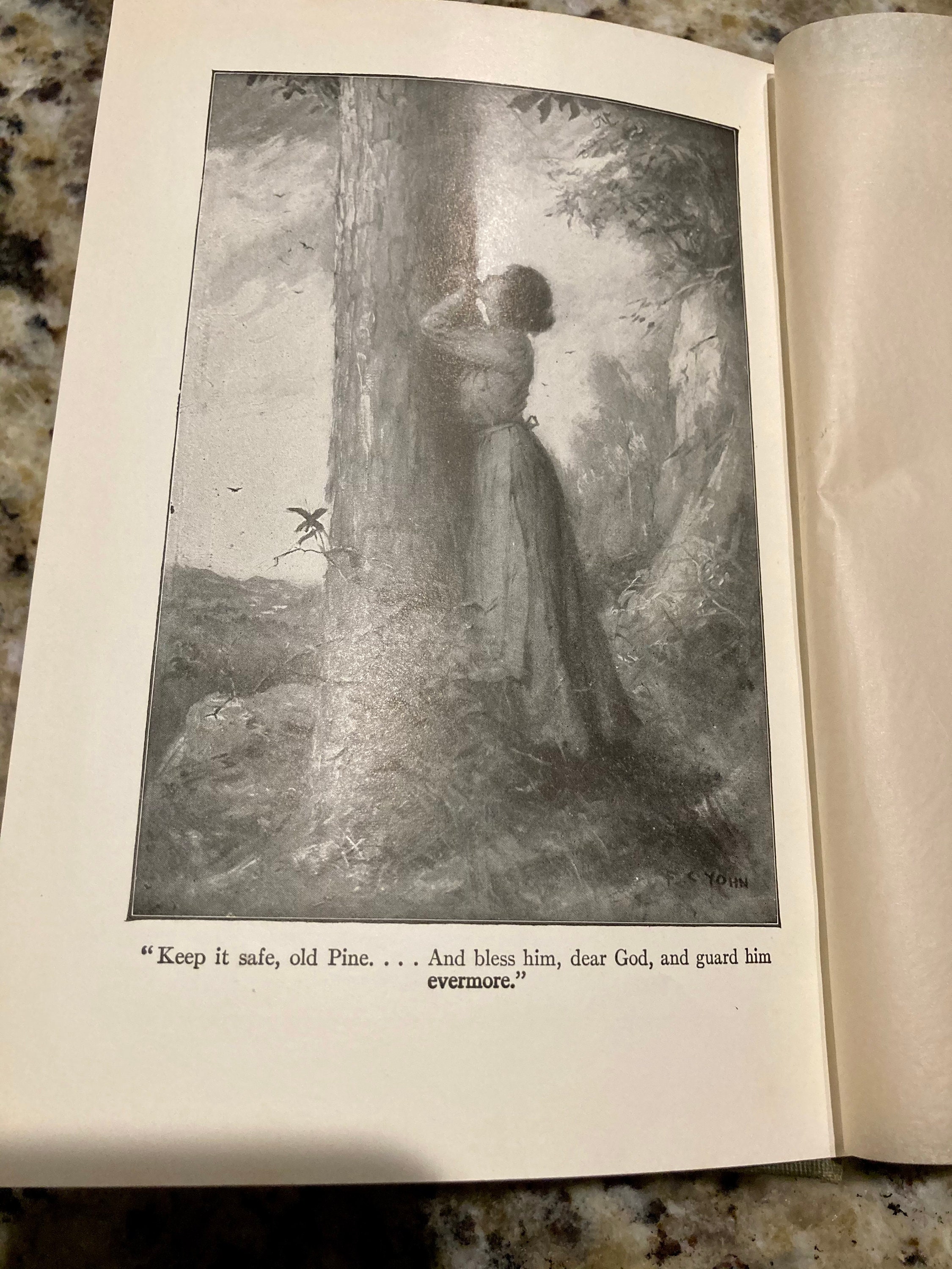 the trail of the lonesome pine 1915 the trail of the lonesome pine 1915