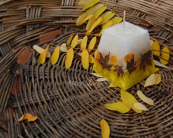 Ensemble de bougies parfumées faites main, feuilles florales jaunes, décoration botanique d'automne