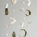 see more listings in the Mix of Animals mobiles section