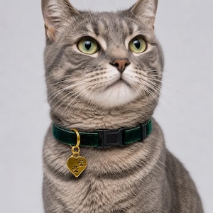 May include: A gray tabby cat wearing a dark green velvet collar with a gold heart-shaped tag. The tag features paw prints. The cat has green eyes and is looking upwards.