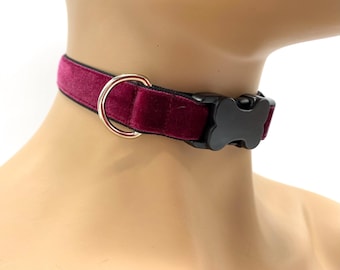 Samt-Spielhalsband für Haustiere mit D-Ring | Weiches, verstellbares 20-mm-Halsband | Samt- oder bedruckter Riemen | Handgefertigt
