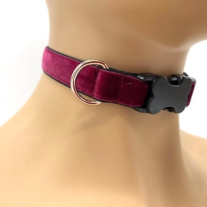 May include: A burgundy velvet collar with a black buckle and a silver metal D-ring. The collar is designed to be worn around the neck. The buckle is black and has a curved shape.