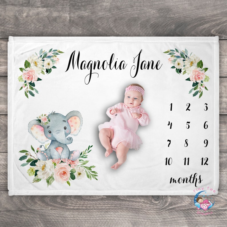 Monthly Milestone Blanket Girl Newborn Blankets For Girls Etsy