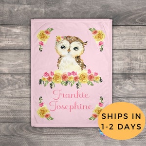 Owl Nursery Decor, Rose Blanket, Owl Baby Shower, Newborn Girl Blanket, Baby Girl Flower Blanket, Personalize Girl Blanket, Unique Baby Gift