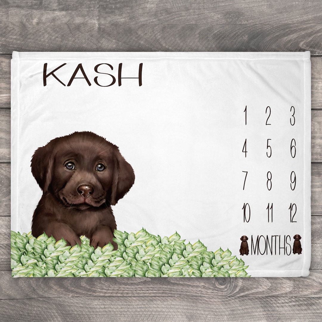 No Sew Labrador Fleece Blanket Dog Blanket Heather Fleece Boots