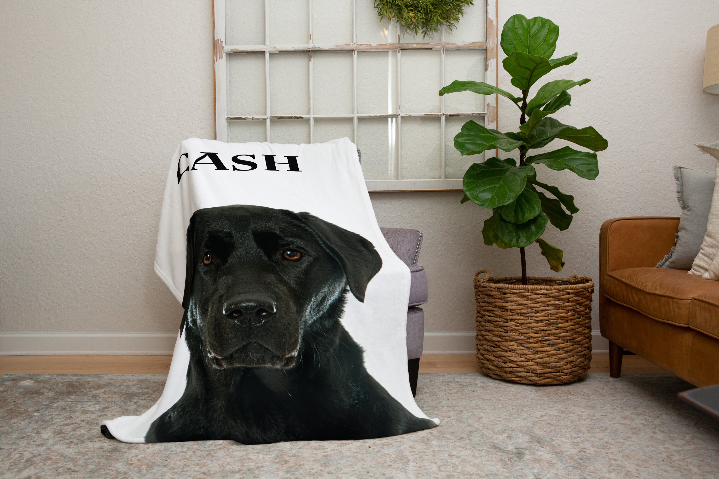 Black lab blanket sale