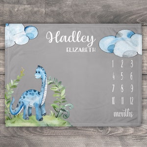 Dinosaur Baby Blanket, Month To Month Baby Blanket Baby Girl, Milestone Blanket Boy, Dinosaur Decoration, Personalized Blanket, Growth Chart