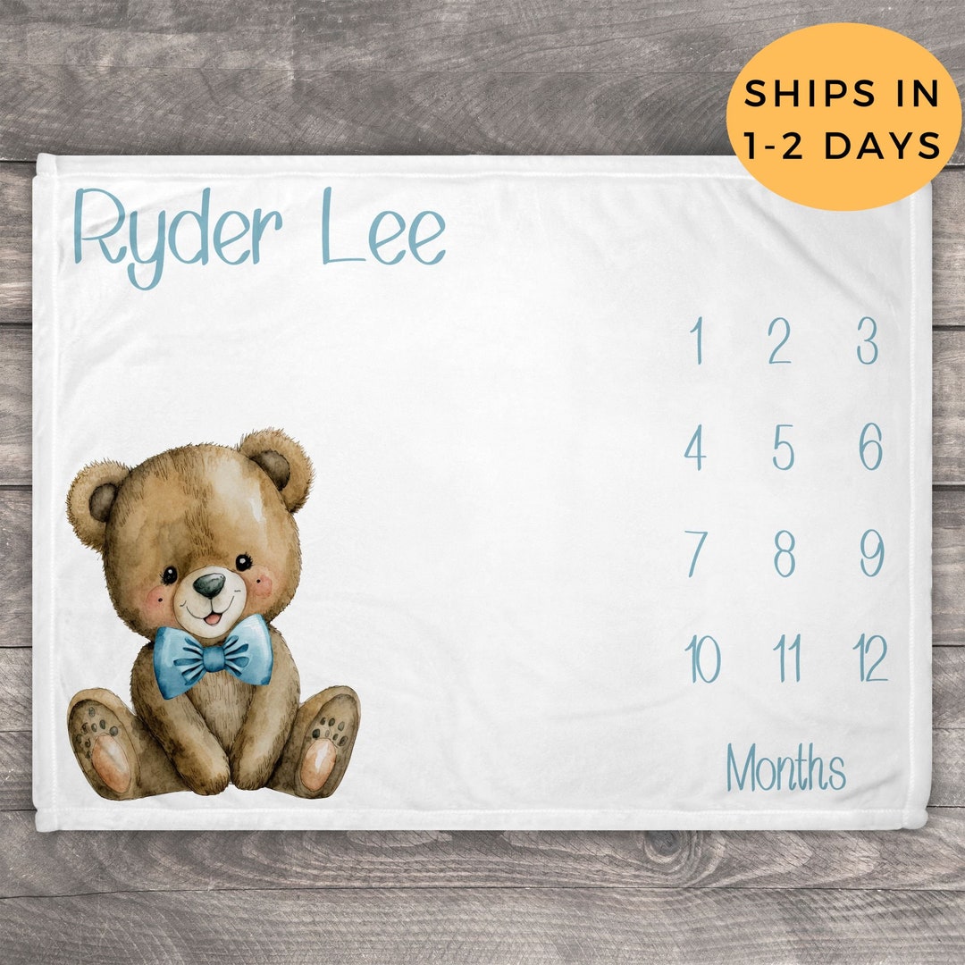 Teddy Bear Milestone Minky Blanket main image 1