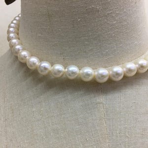 May include: A classic pearl necklace composed of round, off-white pearls. The necklace is draped around a mannequin's neck, showcasing its elegant design. The pearls are evenly sized and have a subtle luster, suggesting a timeless jewelry piece.