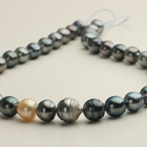Natural Mixed color Seawater Pearl Strand, Mix of Tahitian pearls and natural golden south sea pearls, Natural Saltwater Pearl Beads,TPS503