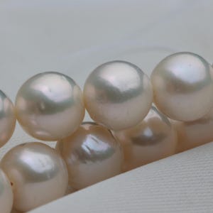 May include: Close-up of a strand of lustrous, creamy white pearls. The pearls are round and have a smooth, reflective surface. The background is a soft, off-white fabric, highlighting the pearls' natural beauty.