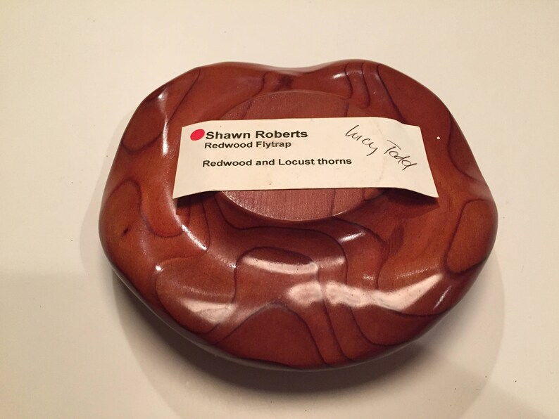 Wood Sculpture by Austin Texas Artist Shawn Roberts Titled Etsy