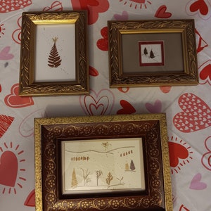 Cartões de natureza de inverno emoldurados VINTAGE feitos à mão feitos de folhas, flores e galhos prensados