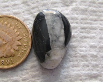 Natural White Buffalo Ribbon Boulder Turquoise Cab 14 carat American Nevada Cabochon