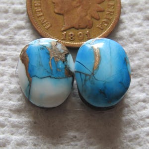 2 Blue Dahlia Cabs 12 carats Cabochons Matching Set