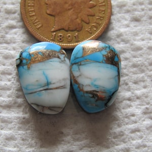 2 Blue Dahlia Cabs 12 carats Cabochons Matching Set