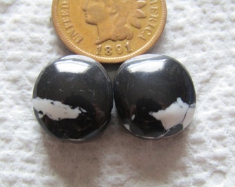 2 White Buffalo Ribbon Boulder Turquoise Cabs 17 carat Cabochons