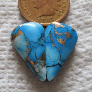 2 Blue Dahlia Cabs 17 carats Cabochons Matching Set