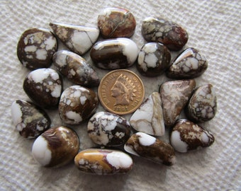 19 Natural WildHorse Magnesite Cabs 200 carats Wholesale Lot American Wild Horse Cabochons