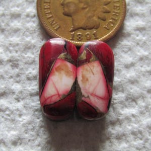 2 Red Dahlia Cabs 12 carats Cabochons Matching Set