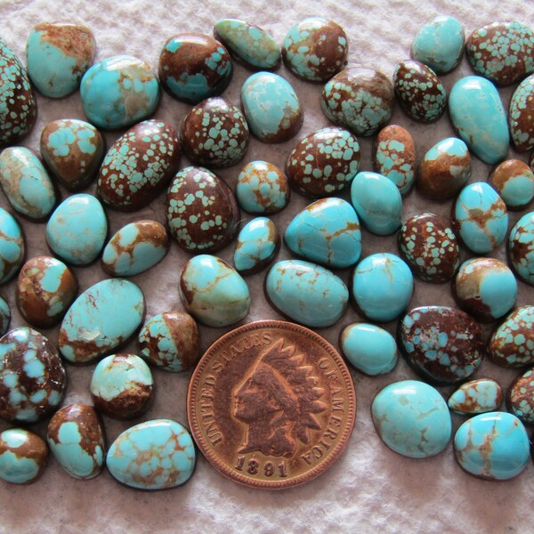 57 Number Eight #8 Turquoise Cabs 100 carat American Nevada Blue Cabochon High Grade Spiderweb Web USA