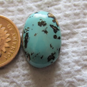 Baja Turquoise Cab 12 carats Blue Green Cabochon