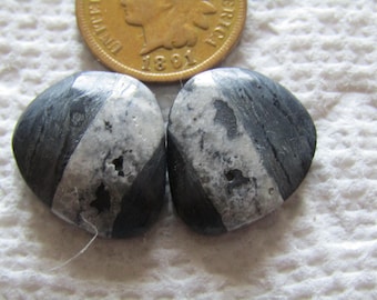 2 Natural White Buffalo Ribbon Boulder Turquoise Cabs 21 carat American Nevada USA Cabochons