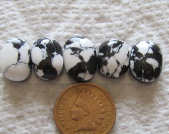 5 White Buffalo Turquoise Cabs 31 carats Cabochons Wholesale Lot